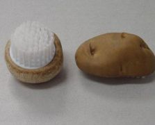 薯仔、蘑菇刷之二